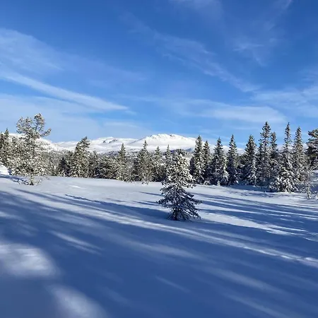 Amazing In With Sauna Hébergement de vacances Eggedal