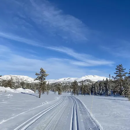 Amazing In With Sauna Hébergement de vacances *