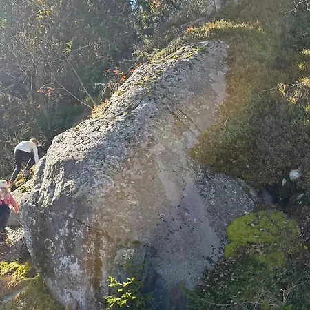 Amazing In With Sauna *