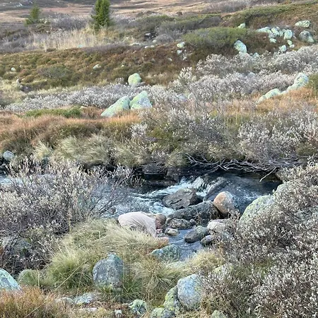 Amazing In With Sauna Feriehus *